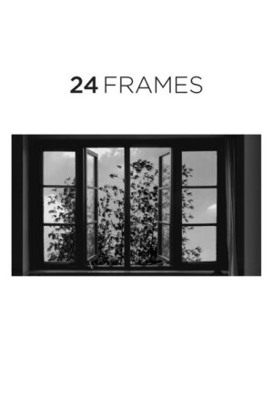 24 cuadros