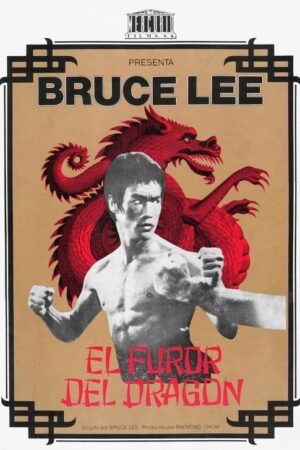 El furor del dragón