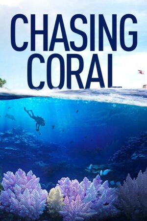 En busca del coral