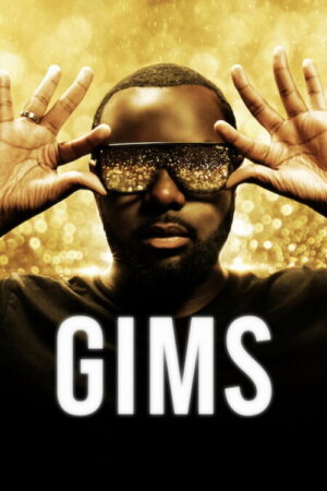 GIMS: On the Record