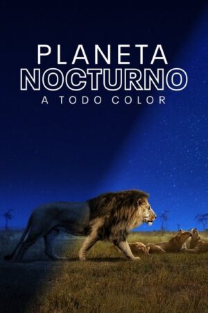 Planeta nocturno: A todo color