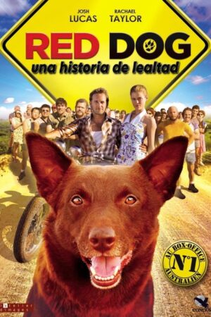 Red Dog, una historia de lealtad