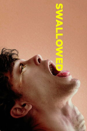 Swallowed