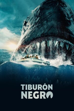 Tiburón negro